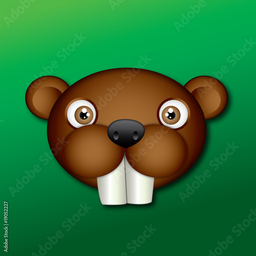 Cabeza de castor