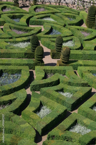 Le jardin du château de Villandry (Indre-et-Loire)