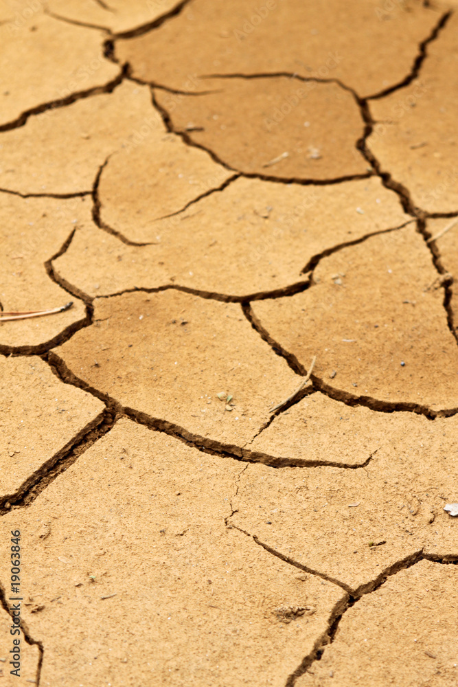 Fototapeta premium Trockene, rissige rote Erde
