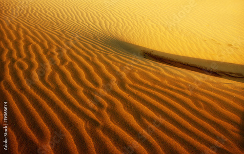 desert sahara