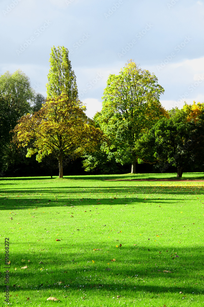 Obraz premium Landscape