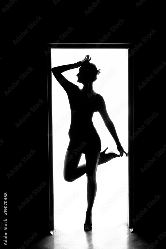 Fototapeta premium Outlines of a beautiful young woman