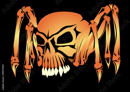 Skull