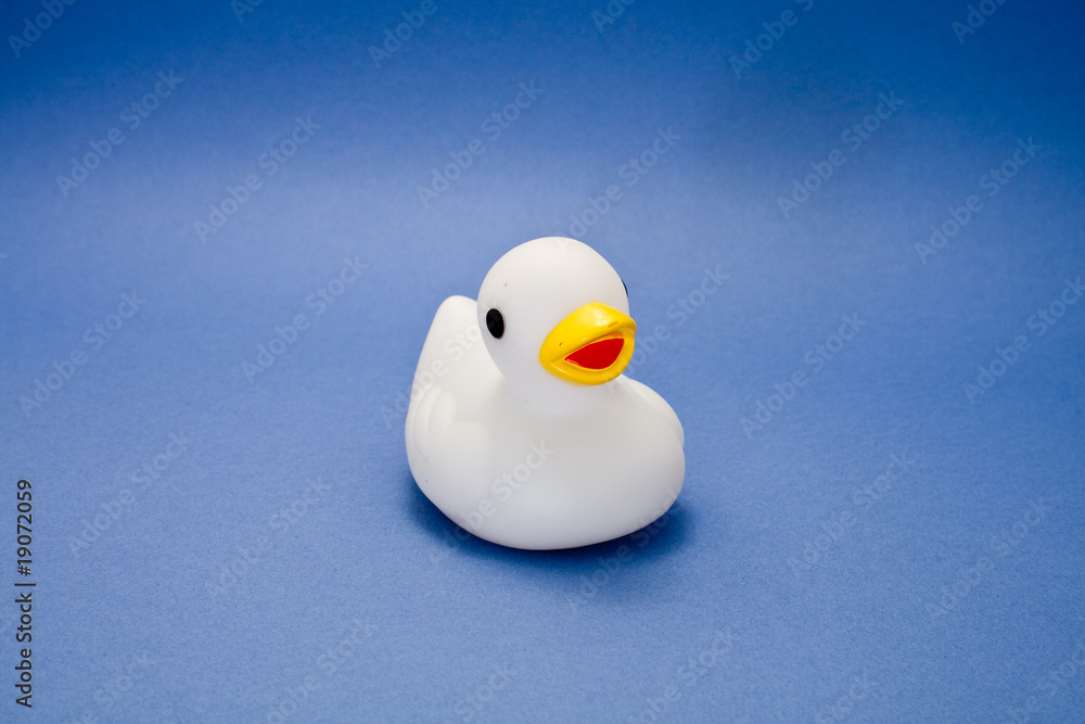 canard en plastique canard en plastique
