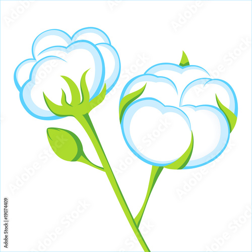 cotton icon