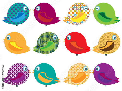 oiseaux multicolores