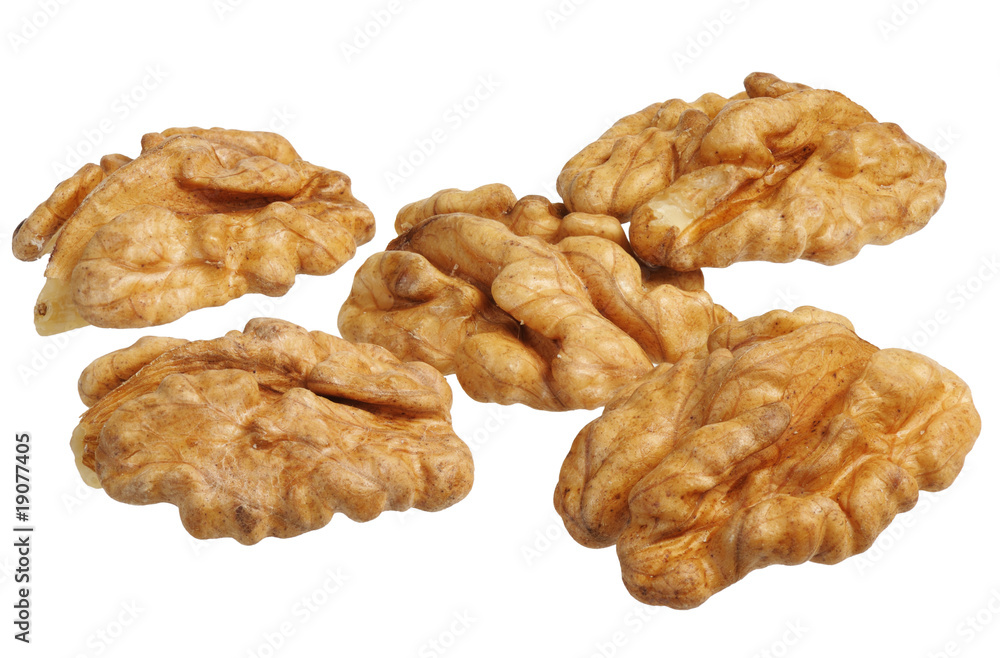 walnut (Juglans regia) walnut (Juglans regia)