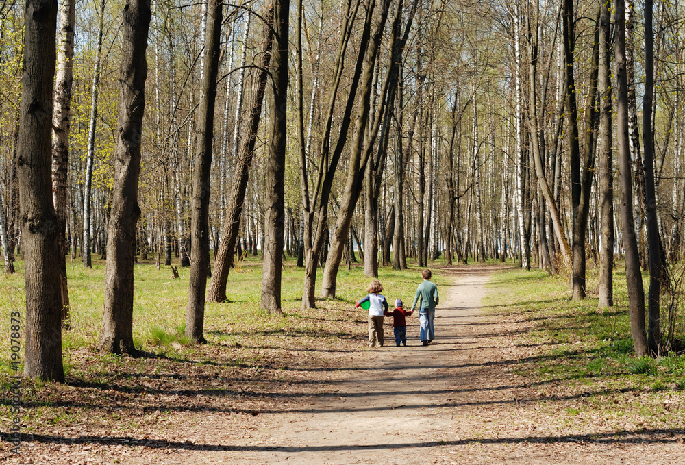 Fototapeta premium Walk in the Park