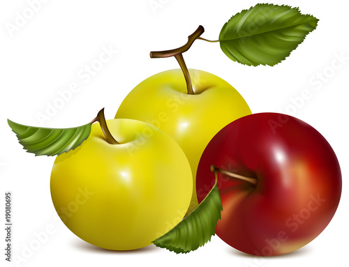 Vector illustration.  Set of red and green apples.