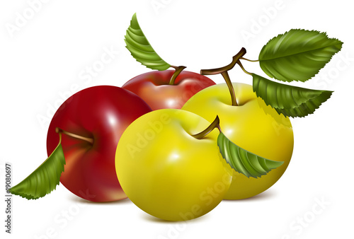 Vector illustration.  Set of red and green apples.