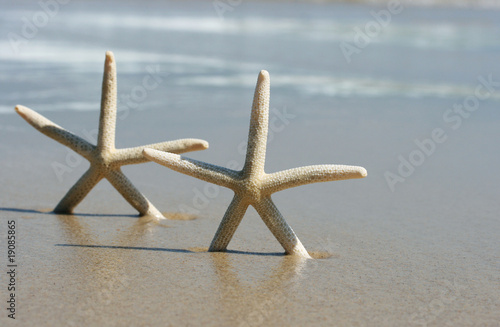 Starfish paddling
