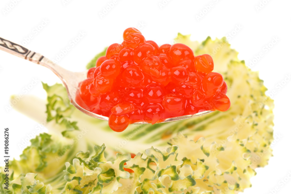 Red caviar on a spoon Red caviar on a spoon