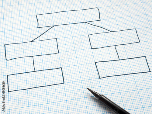 Blank organization chart drawn on square graph paper.