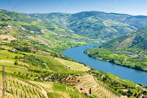 vineyars in Douro Valley, Portugal photo