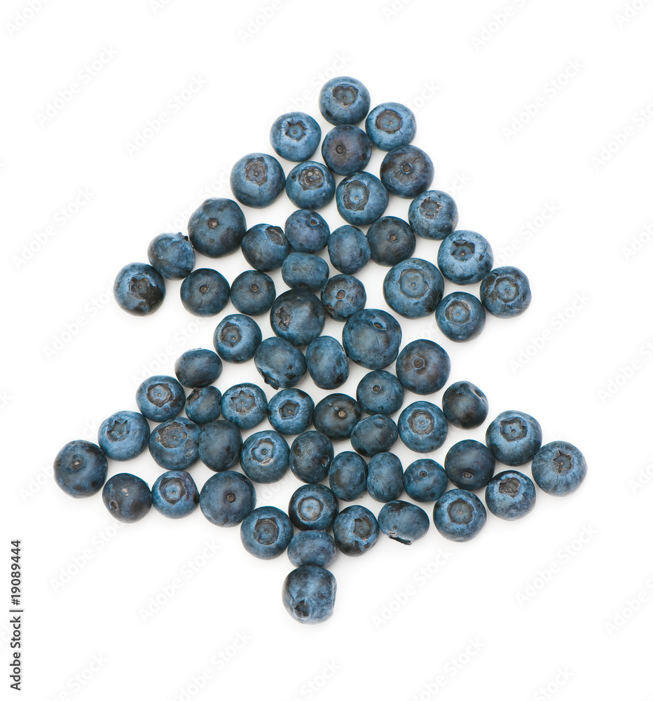 blueberry blueberry
