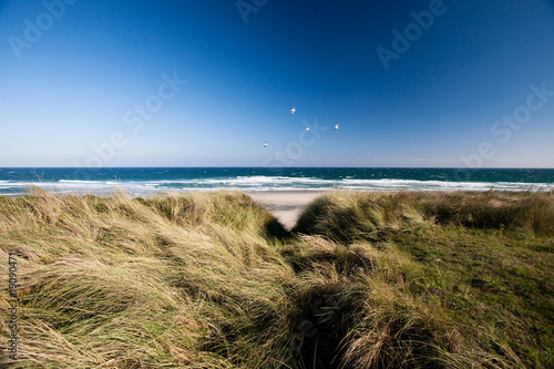 Fototapeta Naklejka Na Ścianę i Meble -  Beach with Seagulls