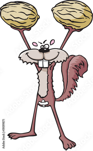 Sqirrel with nuts