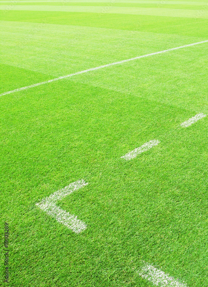 Fototapeta premium Soccer field