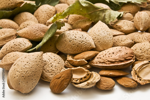 Almendras con hojas 3