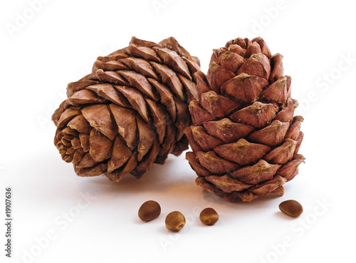 Two pine cones isolated  on a white background