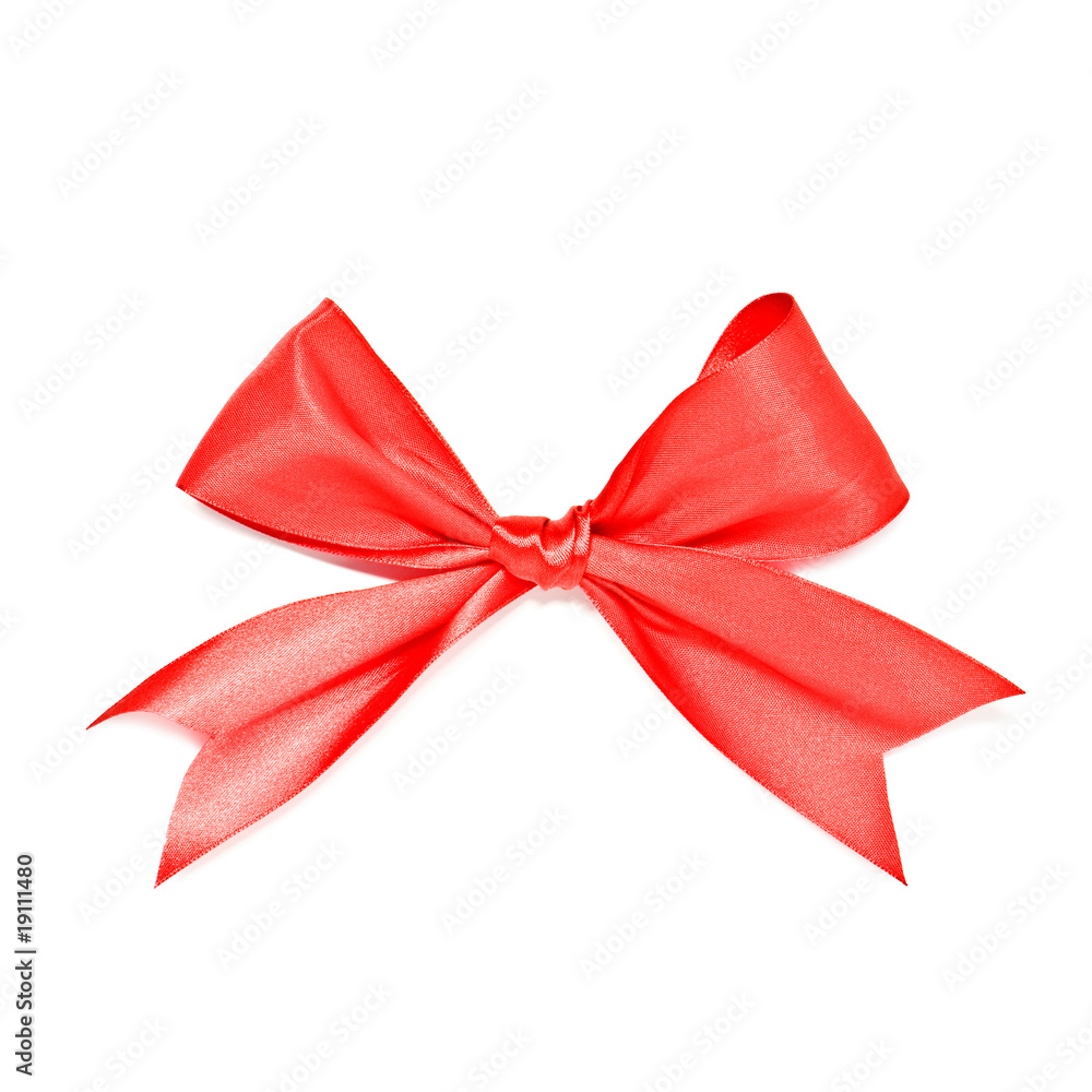 Fototapeta premium bow