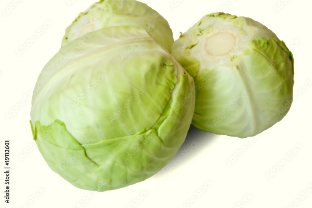 Fototapeta premium Heads of cabbage fresh it is white cabbage