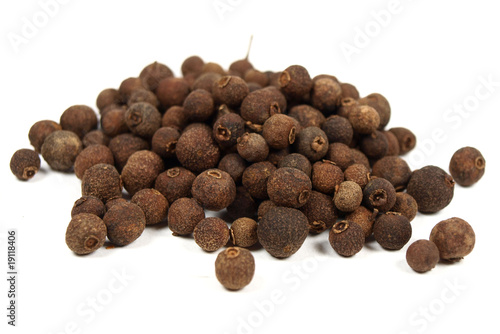 All spices on white background