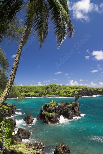 Black Beach Hana