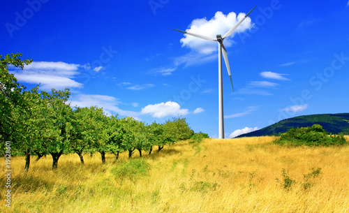 Apple orchard and wind turbine