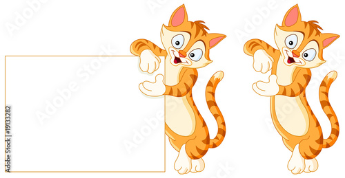 Cat holding blank sign