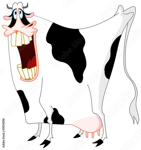 funny cow