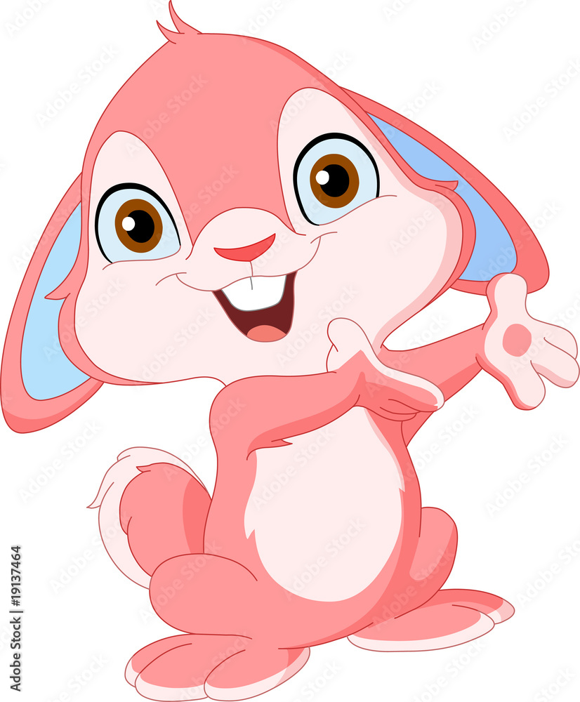 Cute bunny Cute bunny