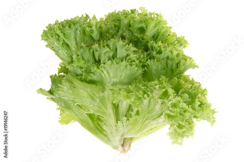 Green Lettuce