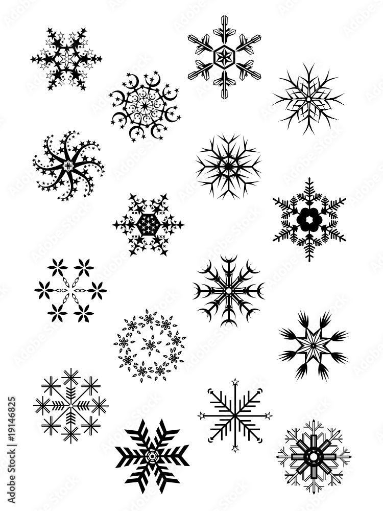 beautiful snowflakes isolated beautiful snowflakes isolated