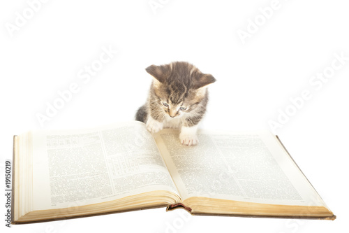 Obraz na plátně thirst for knowledge