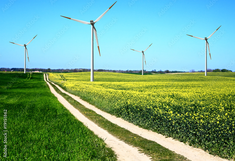 Field of summer and windmills Field of summer and windmills