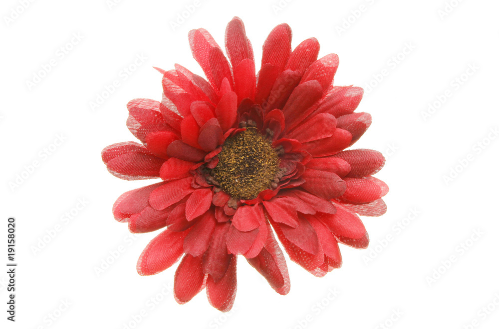 Red silk flower Red silk flower
