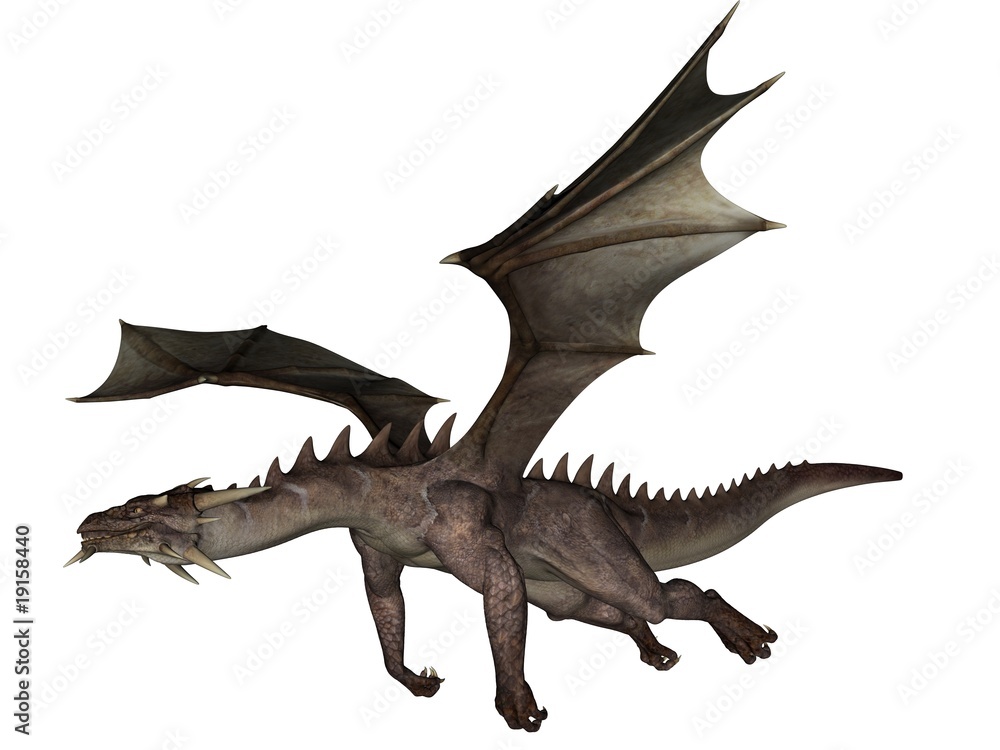 Fototapeta premium Dragon