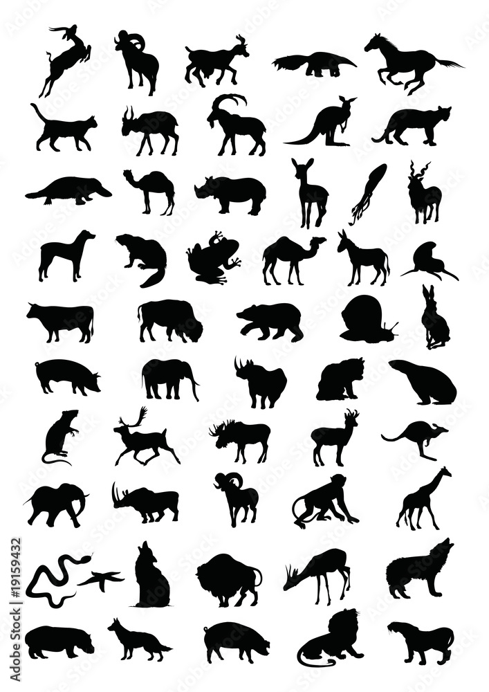 Naklejka premium Animal