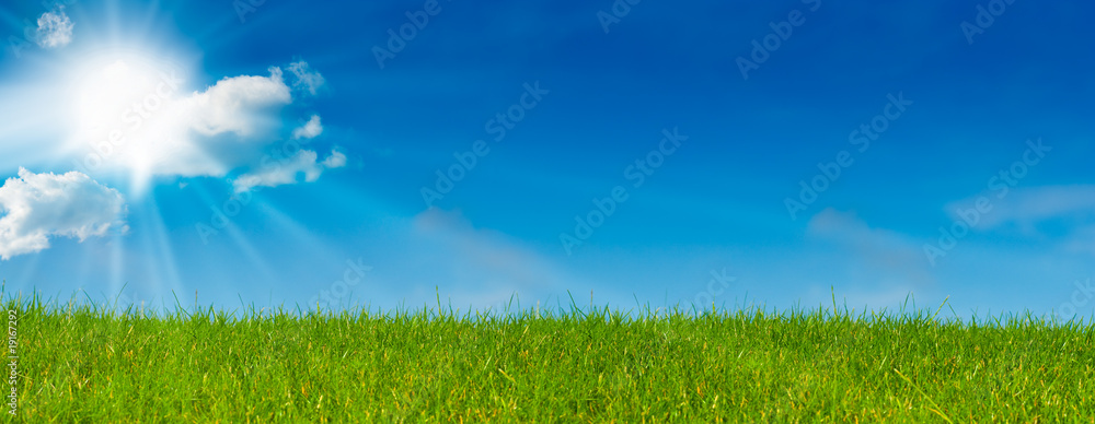 ciel bleu soleil et herbe verte - paysage vert - prairie