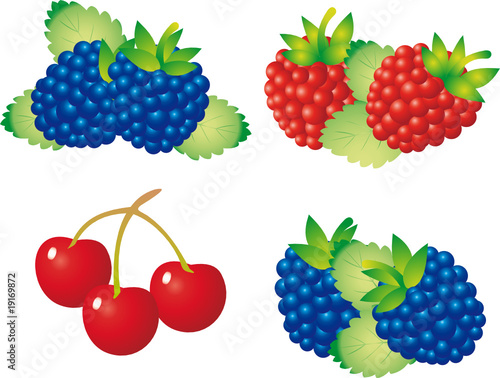Berry vector