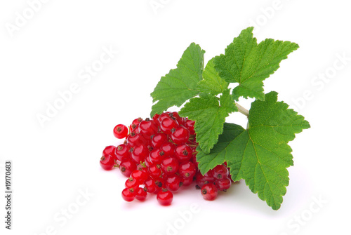 Johannisbeere - currant 29