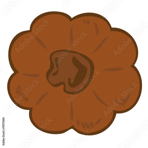 Chocolate shortbread