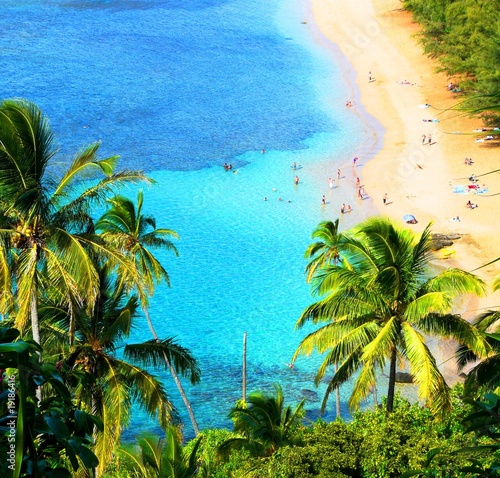 Hawaiian Beach photo