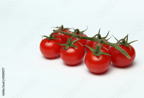 tomate © pixelkorn