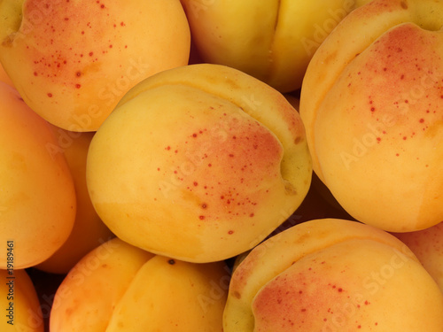 Fruit  apricots