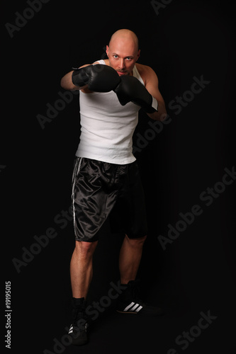 Boxer © Peter Atkins