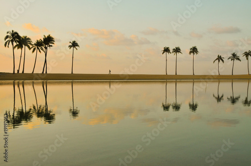 Row of palm trees reflected in a lake