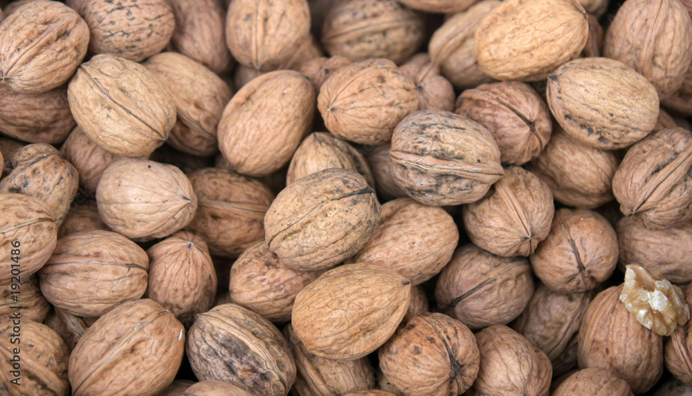 Walnut Walnut