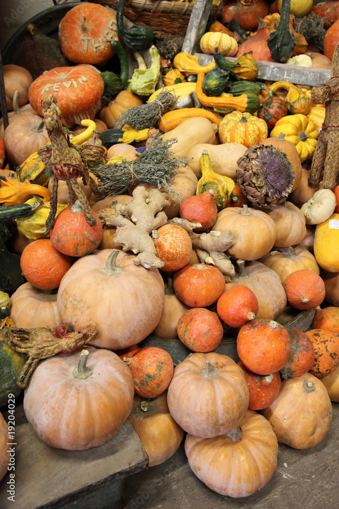 Assortiment de courges Assortiment de courges